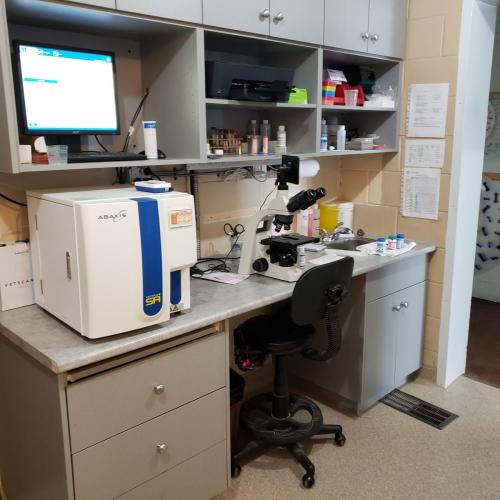 Lab west