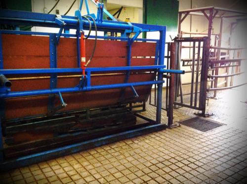 Bovine tip table
